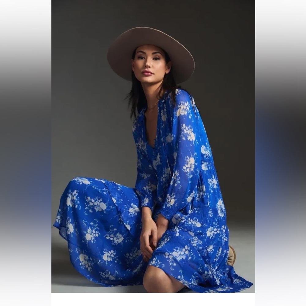 Anthropologie The Marais Printed Chiffon Maxi Dress Floral Blue Gray - Picture 1 of 7